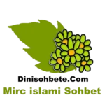Mirc İslami Sohbet 2 Mirc Islami Sohbet